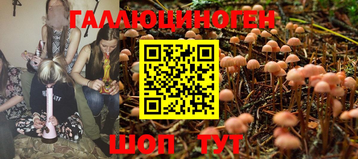 Псилоцибиновые грибы мухоморы Трёхгорный