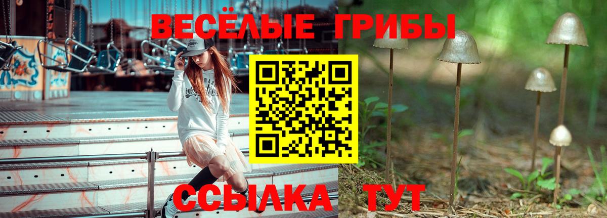 Псилоцибиновые грибы мицелий  Вход с VPN  где купить   Трёхгорный 